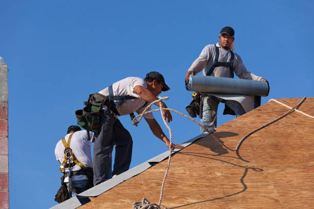 Best Roof Waterproofing Services  in Presidio, TX